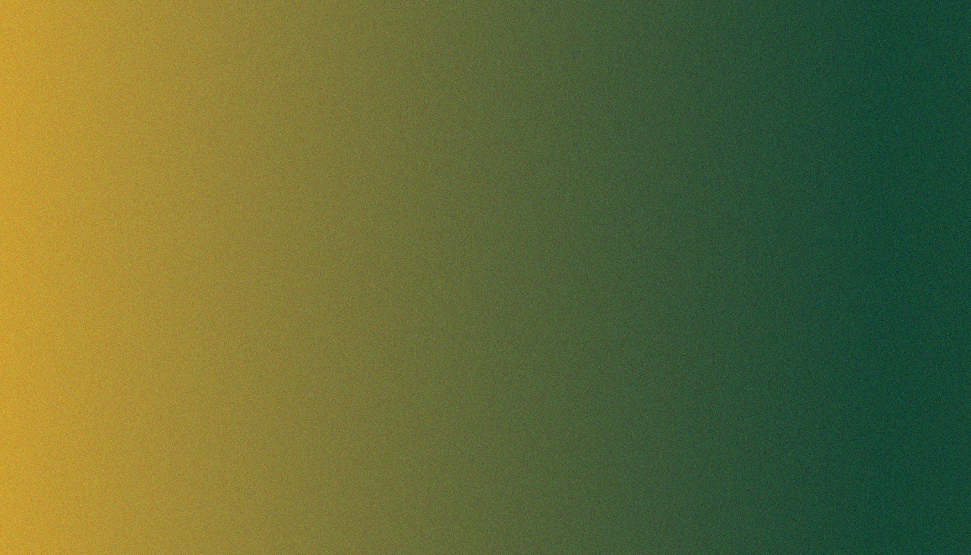 BAYLOR UNIVERSITY CUTE MERCH