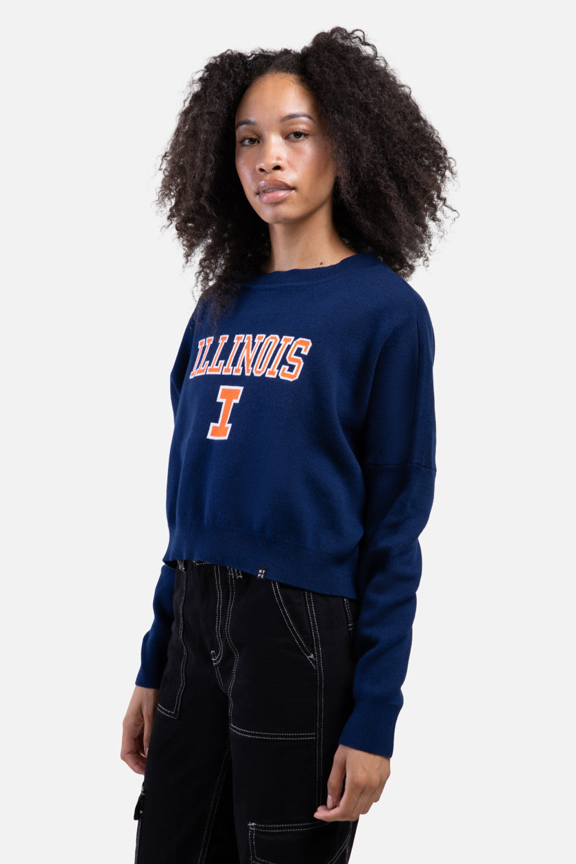 Illinois Ivy Knitted Sweater