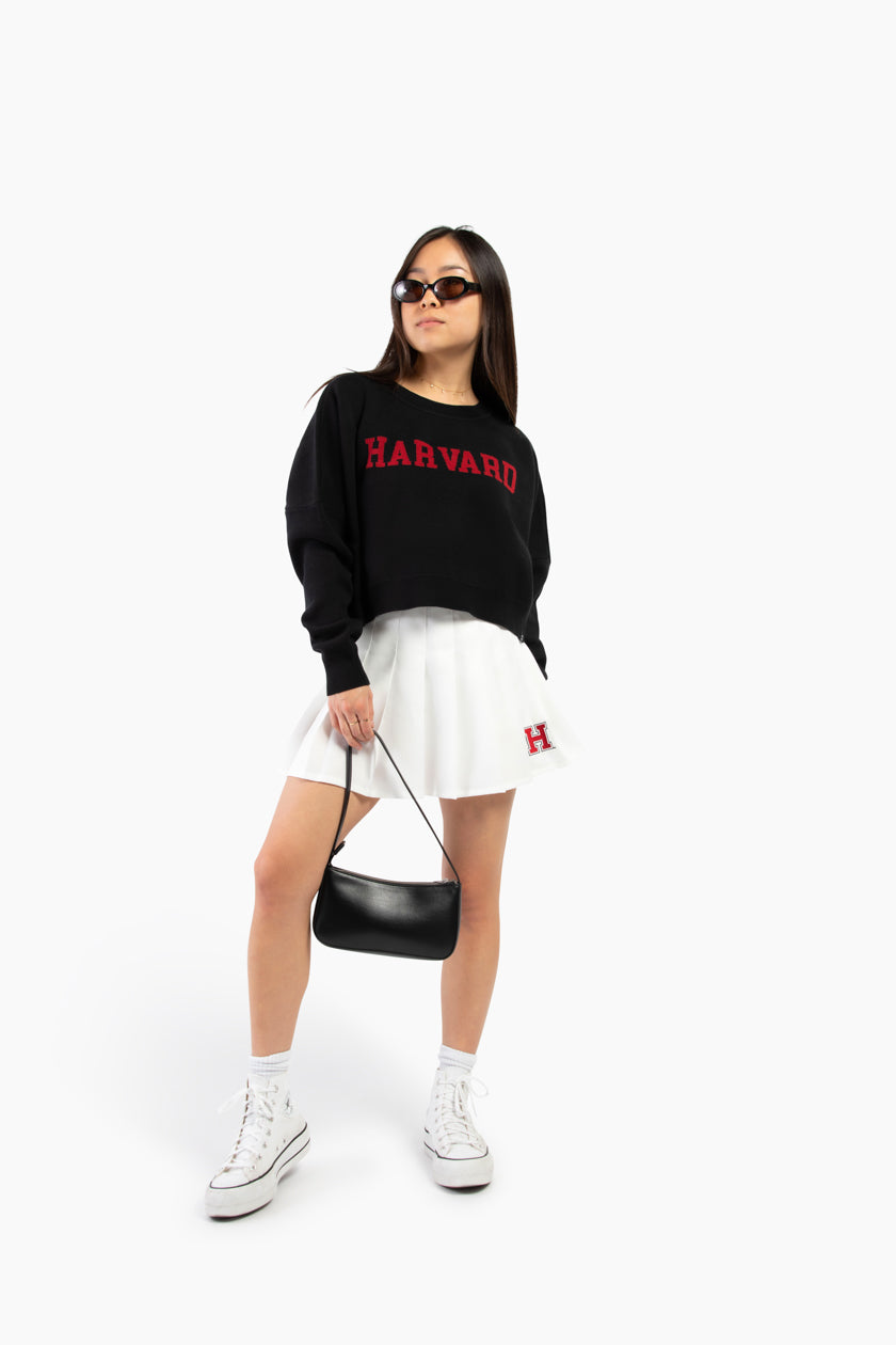 Harvard Ivy Knitted Sweater