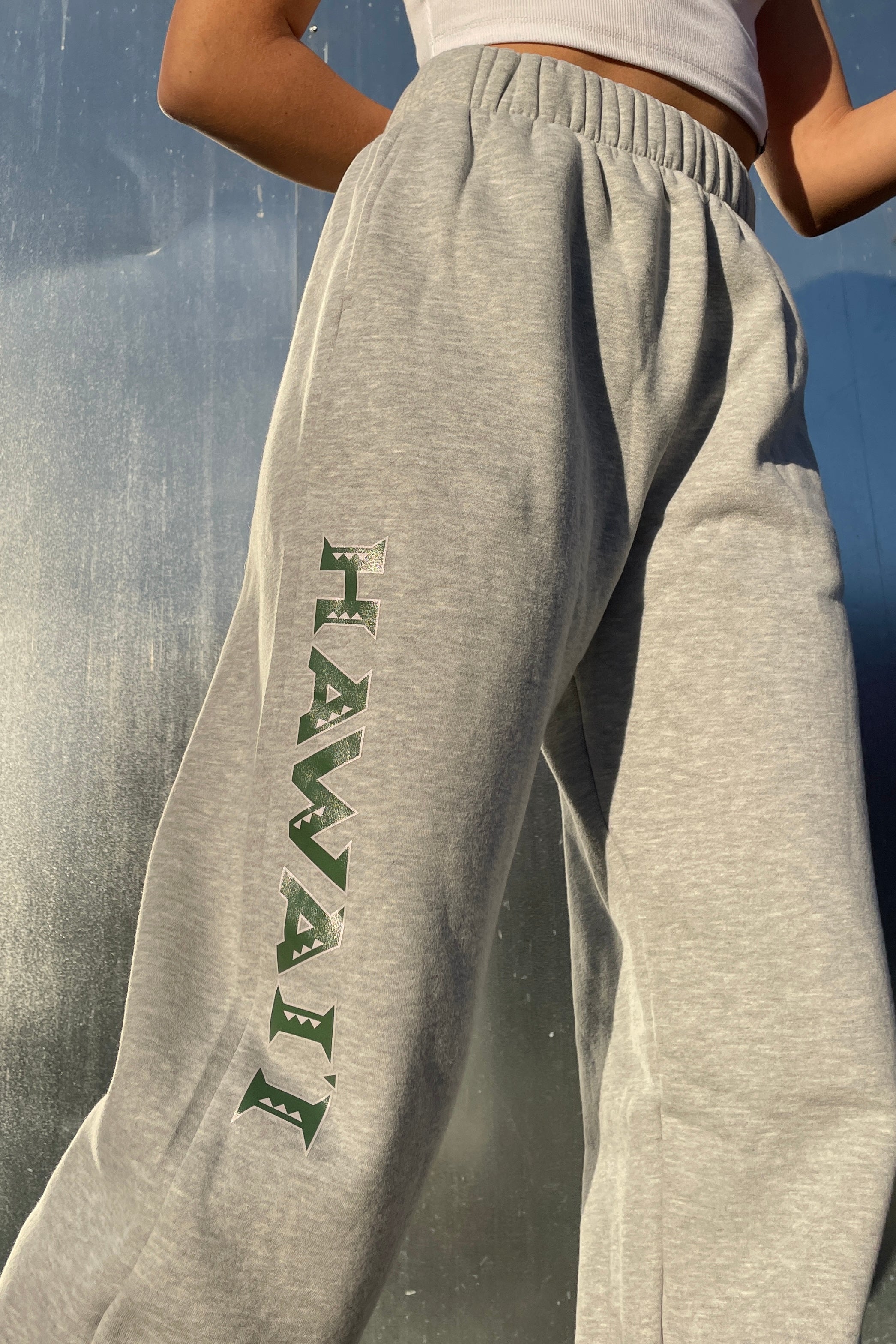 FIU Mia Sweatpants X-Small / Navy | Hype and Vice