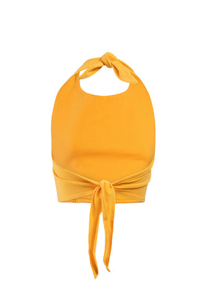 Appalachian State University Tailgate Top