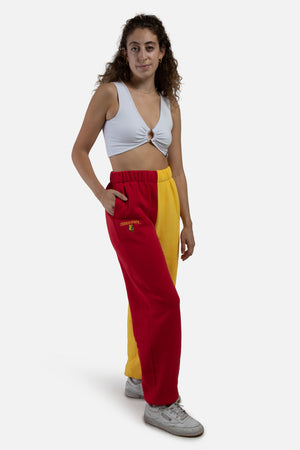 Ferris State Color-Block Sweats