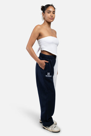 Hillsdale College Color-Block Sweats