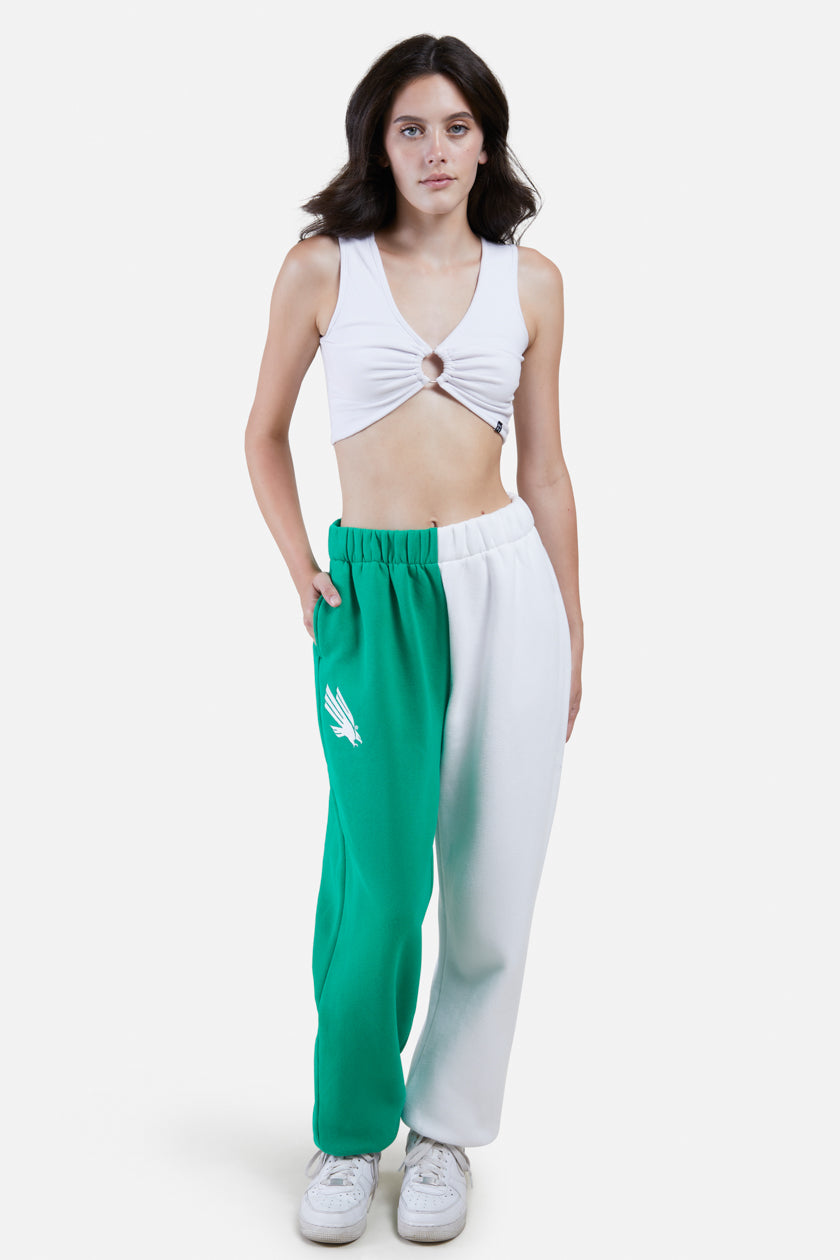 UNT Color-Block Sweats