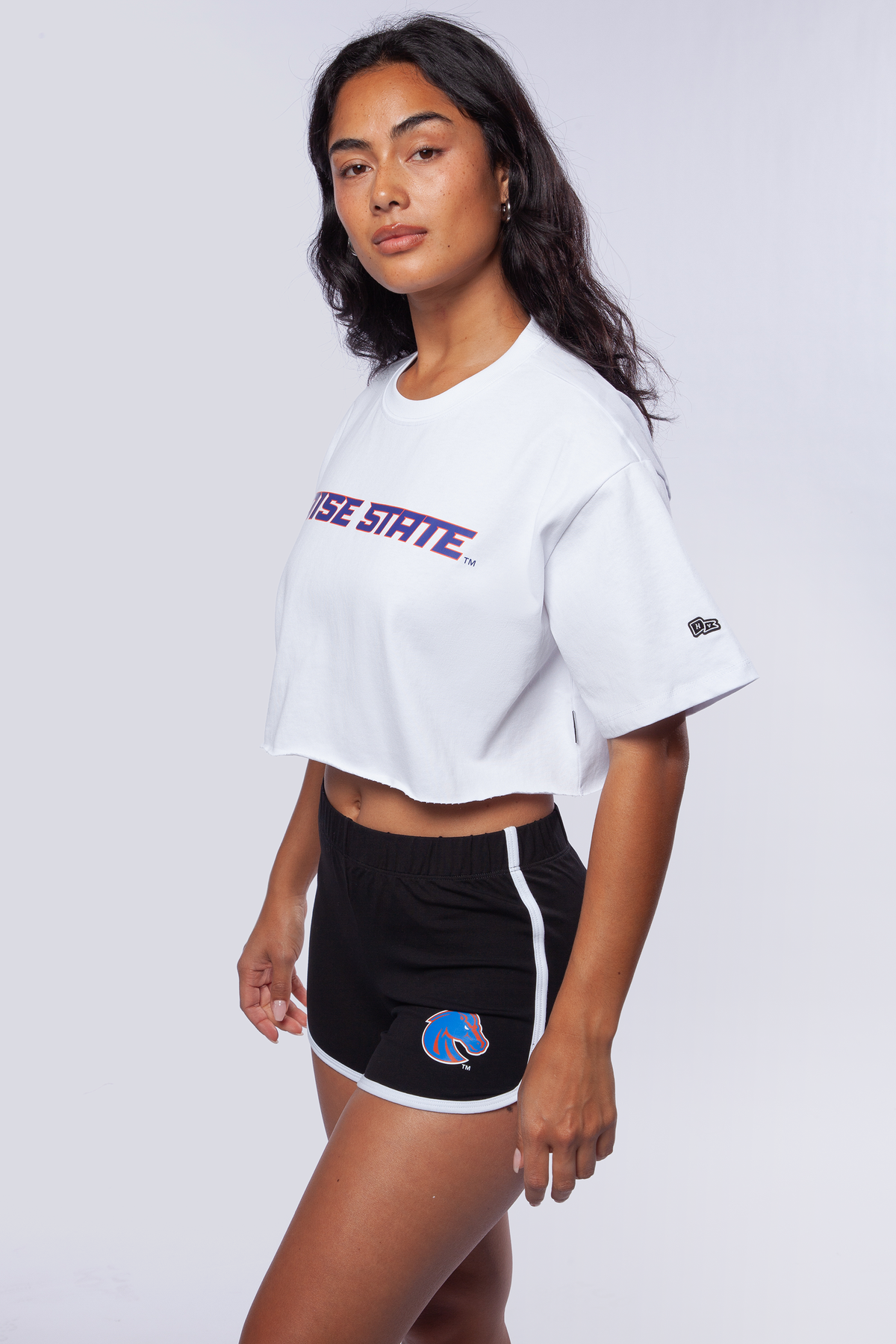 Boise State Old School Minis