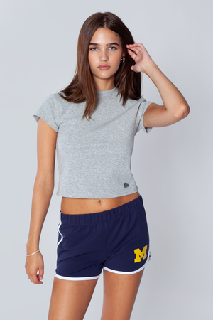 University of Michigan Old School Minis