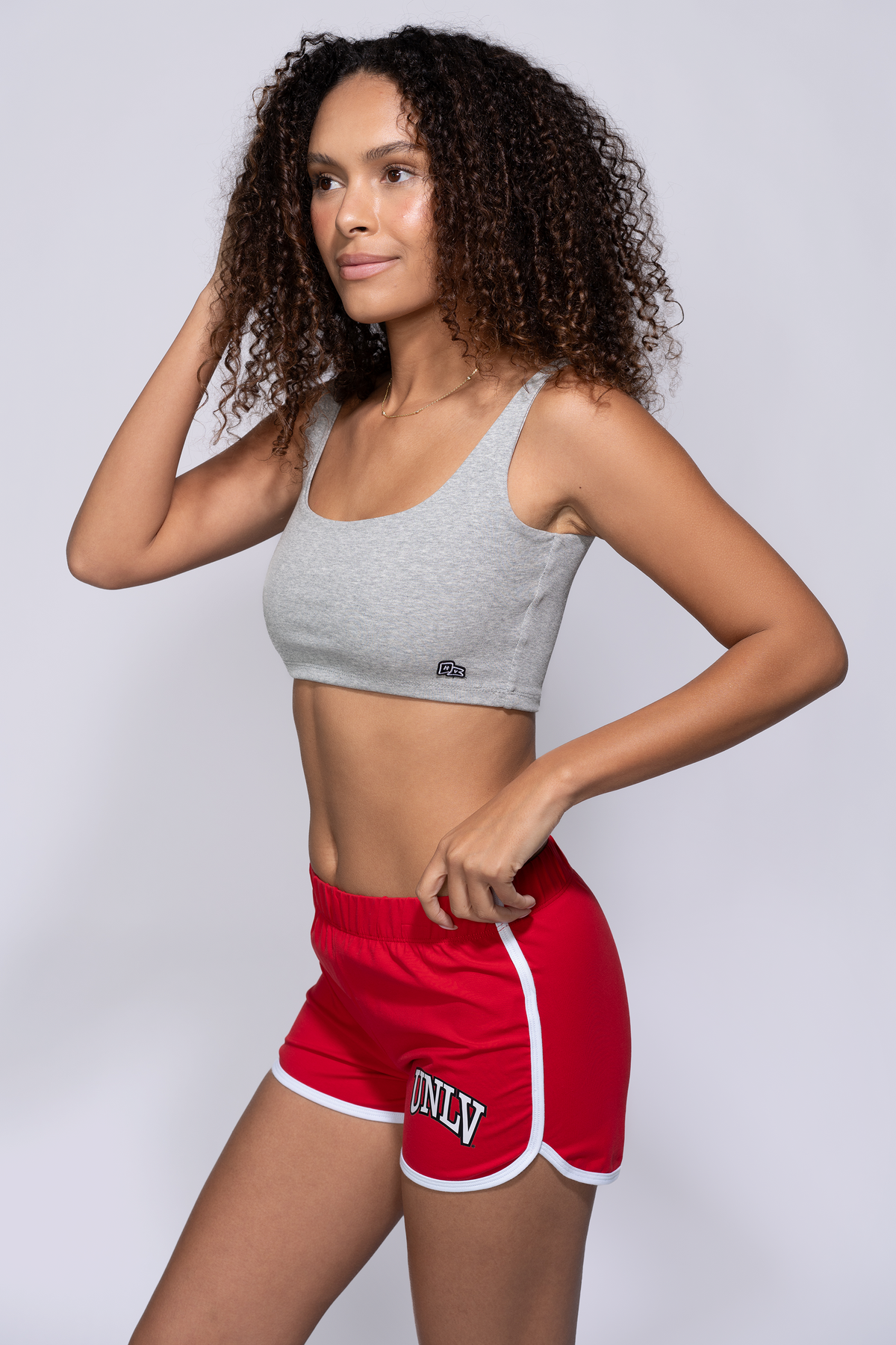 UNLV Old School Minis