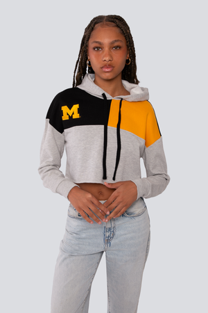 University of Michigan Color Block Hoodie