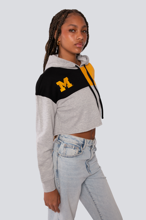 University of Michigan Color Block Hoodie