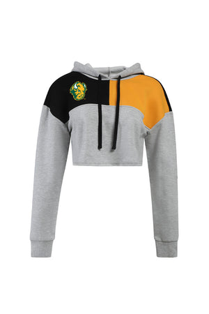 NDSU Color Block Hoodie