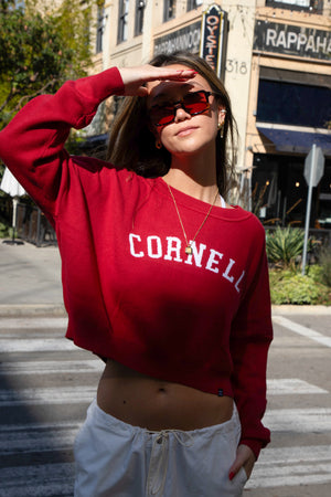 Cornell Ivy Knitted Sweater