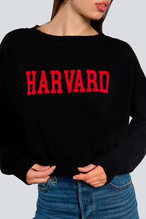 Harvard Ivy Knitted Sweater
