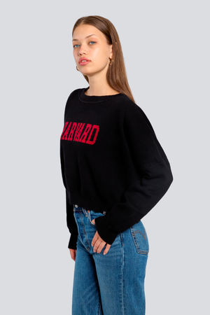 Harvard Ivy Knitted Sweater