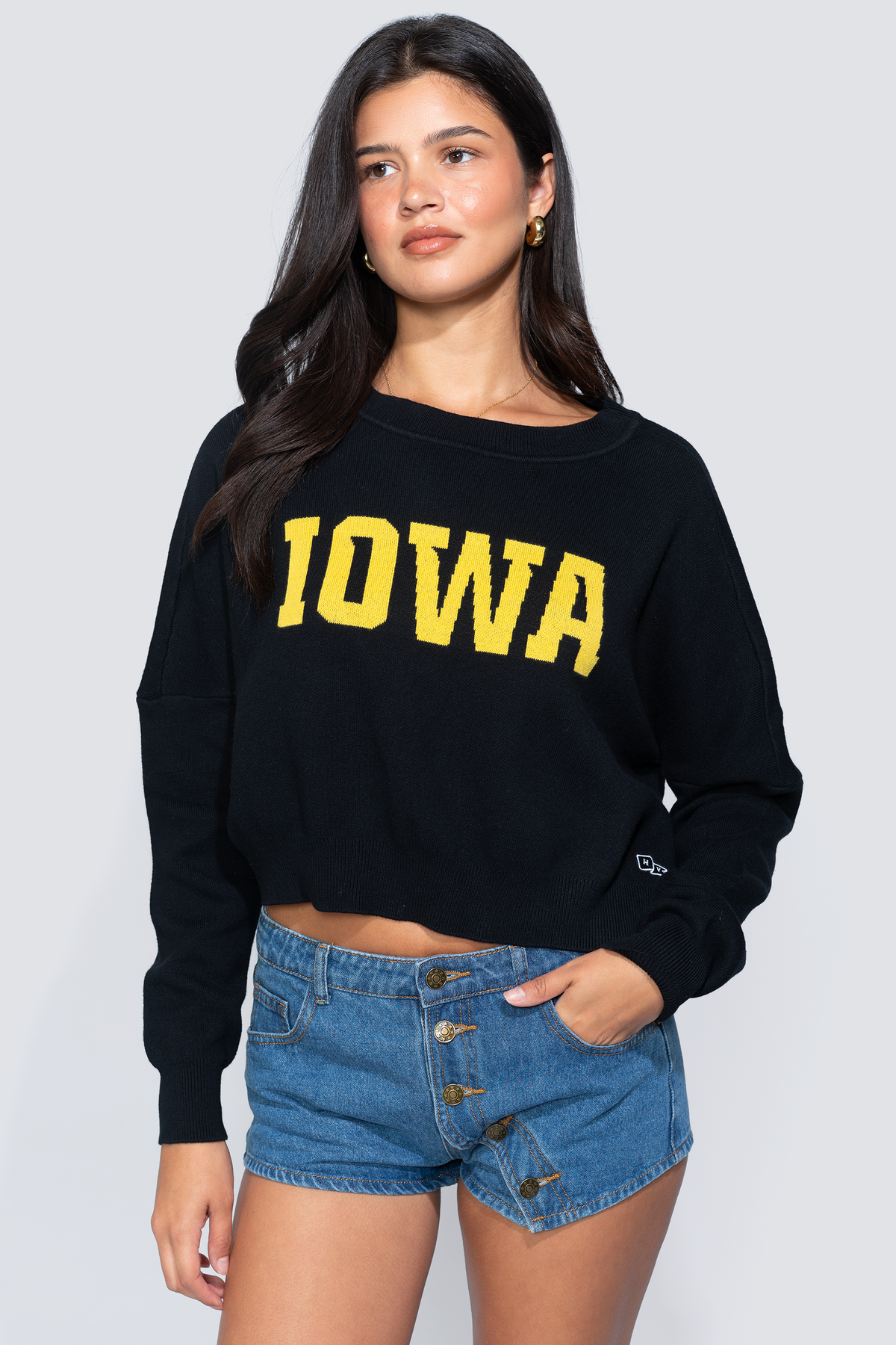 Iowa Ivy Knitted Sweater