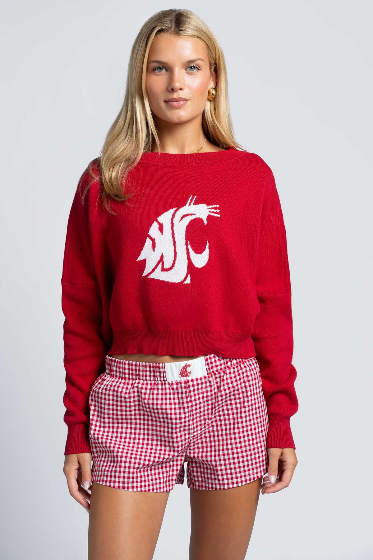 Washington State Ivy Knitted Sweater