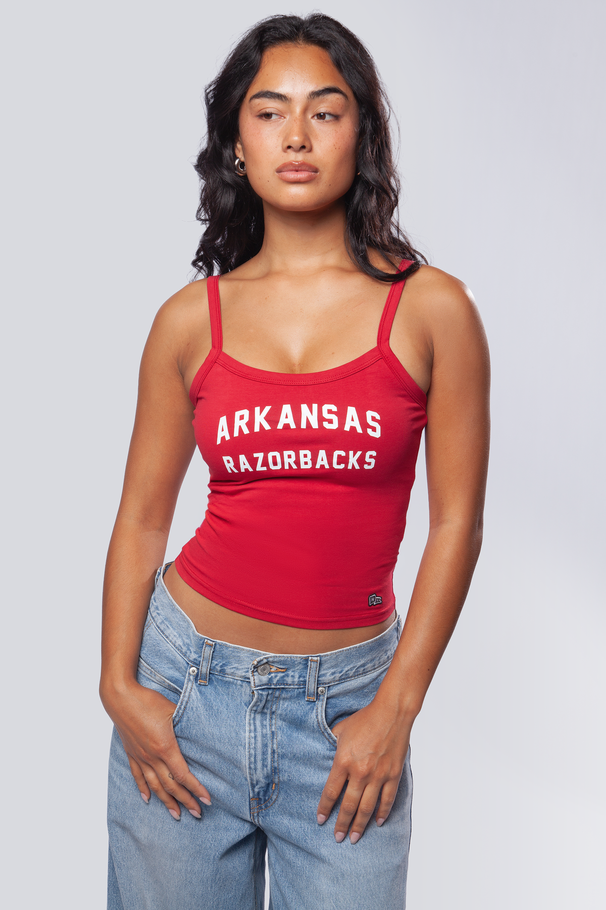 University of Arkansas Playmaker Tank