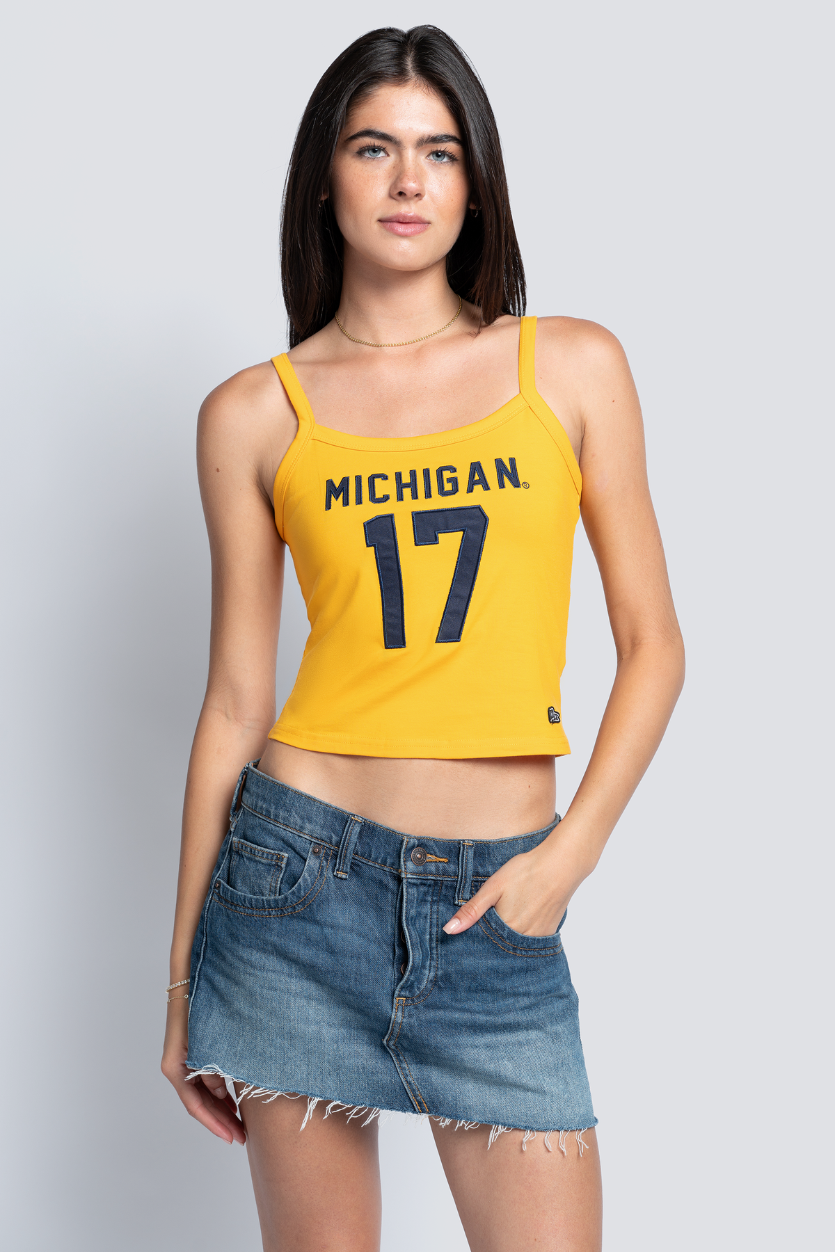 University of Michigan Playmaker Tank