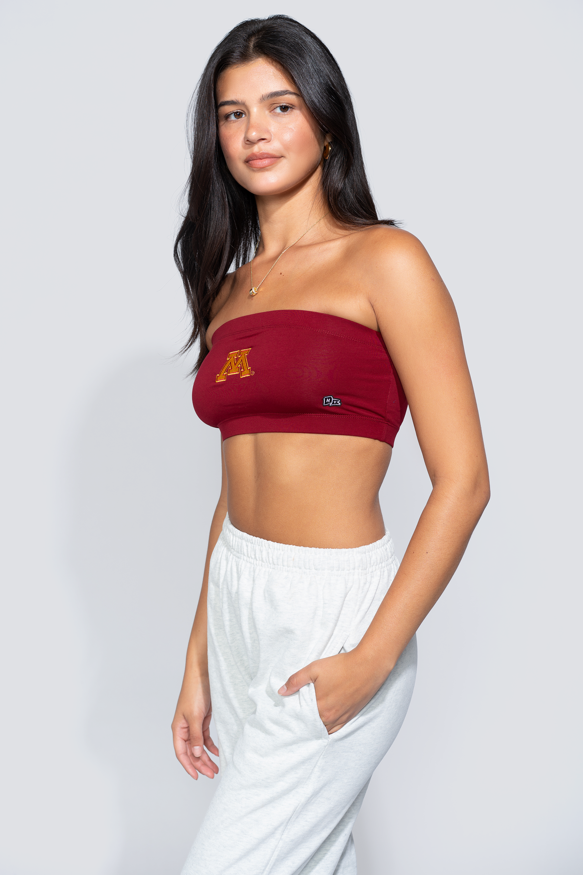 University of Minnesota Bandeau Top