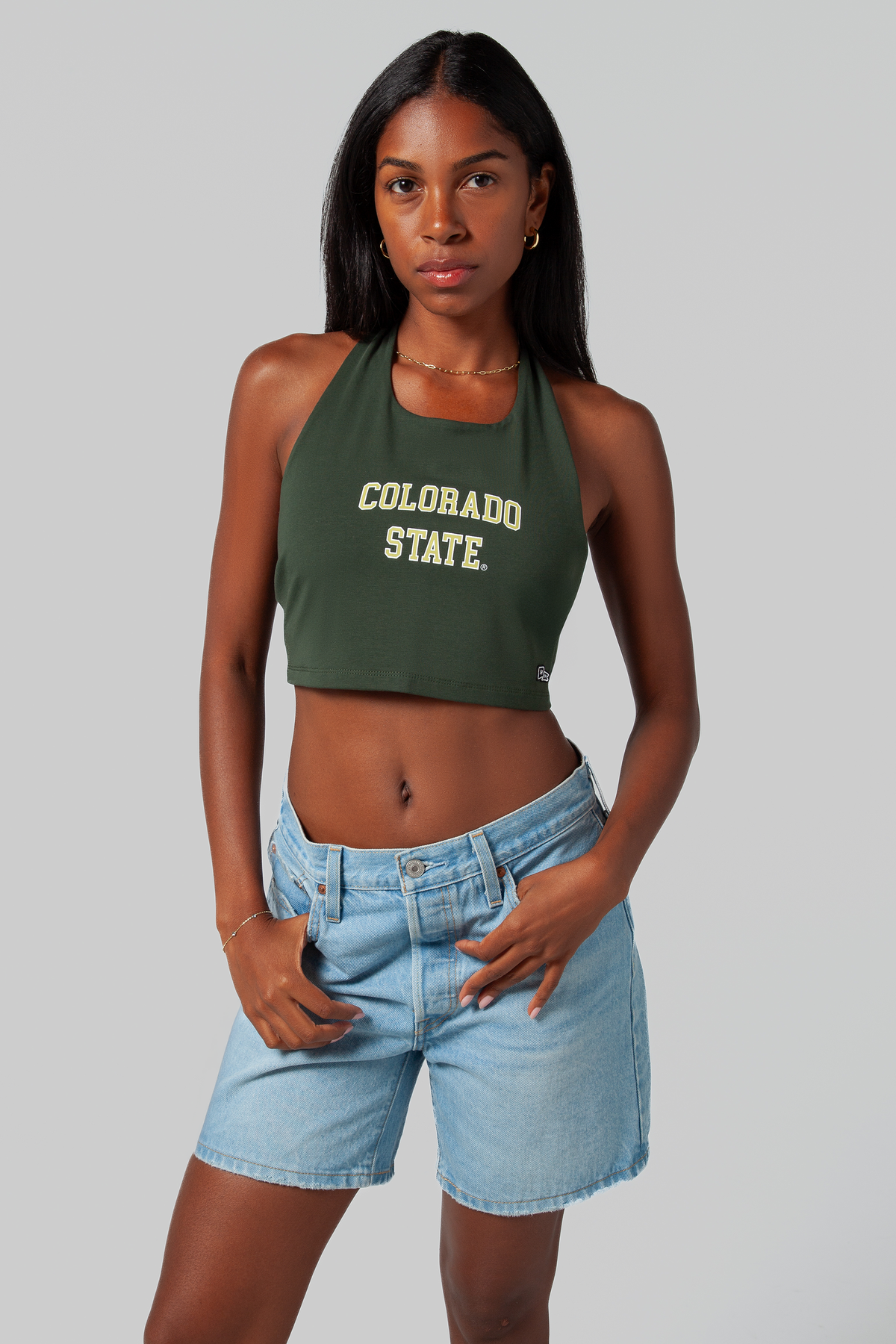 Colorado State Tailgate Top