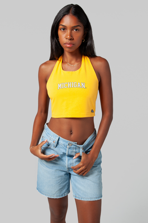 University of Michigan Tailgate Top