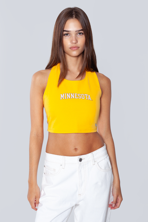 University of Minnesota Tailgate Top