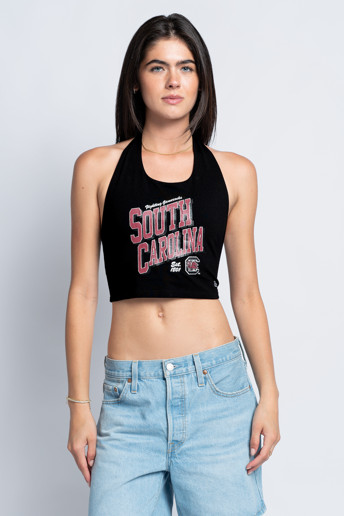 University of South Carolina Tailgate Top