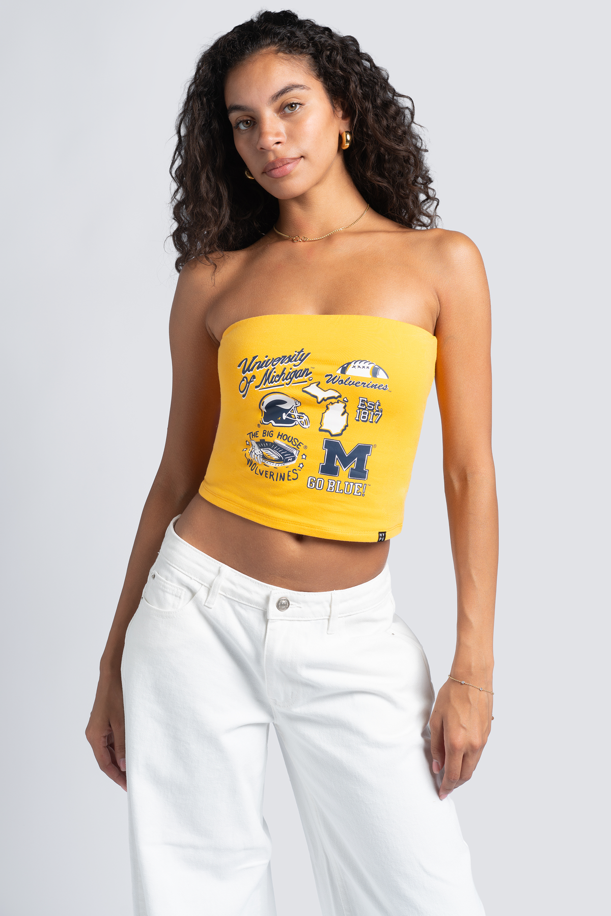 University of Michigan Tube Top