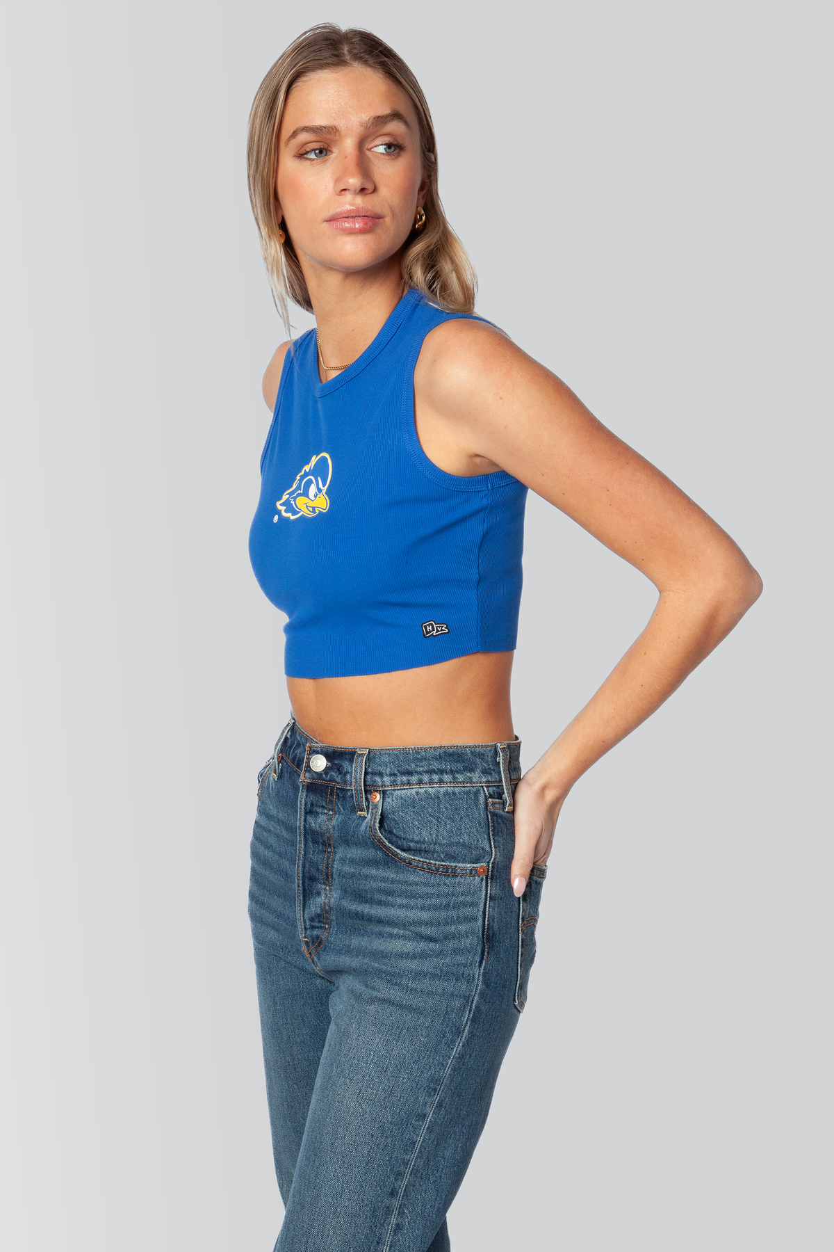 Delaware Cut Off Tank