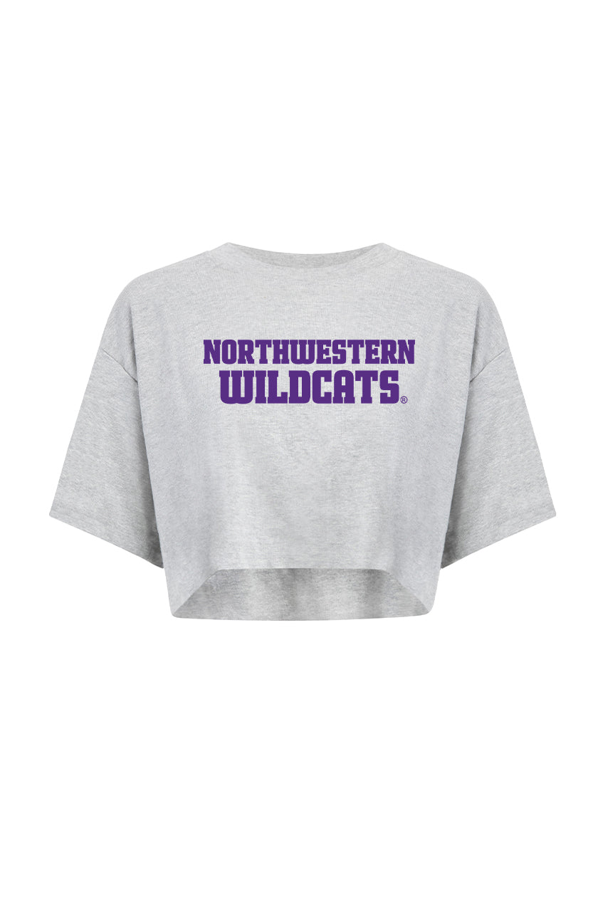Northwestern Track Top