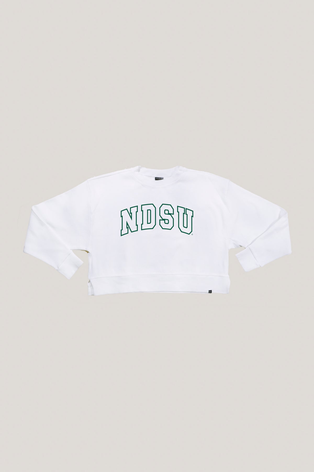 NDSU Homecoming Crew