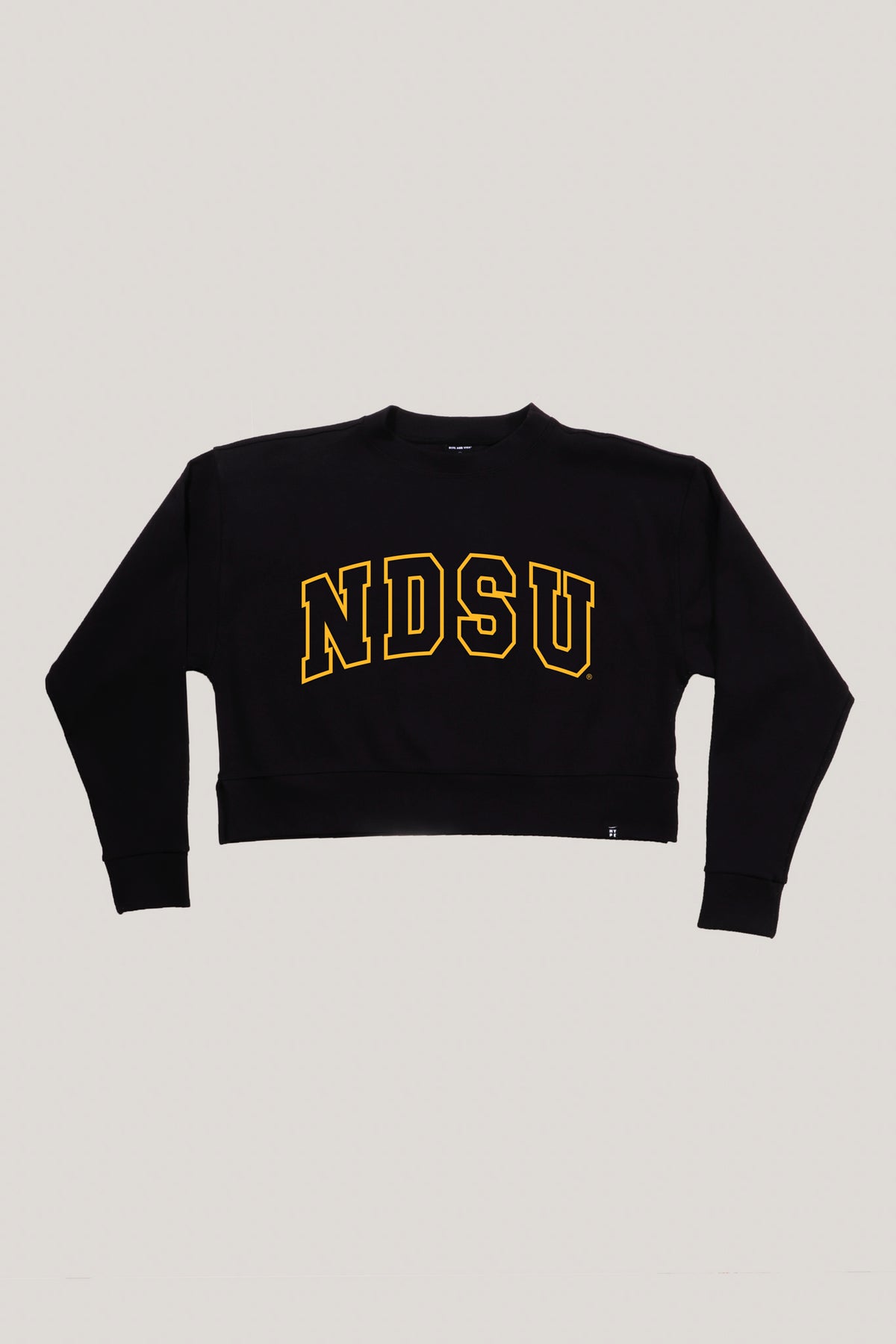 NDSU Homecoming Crew
