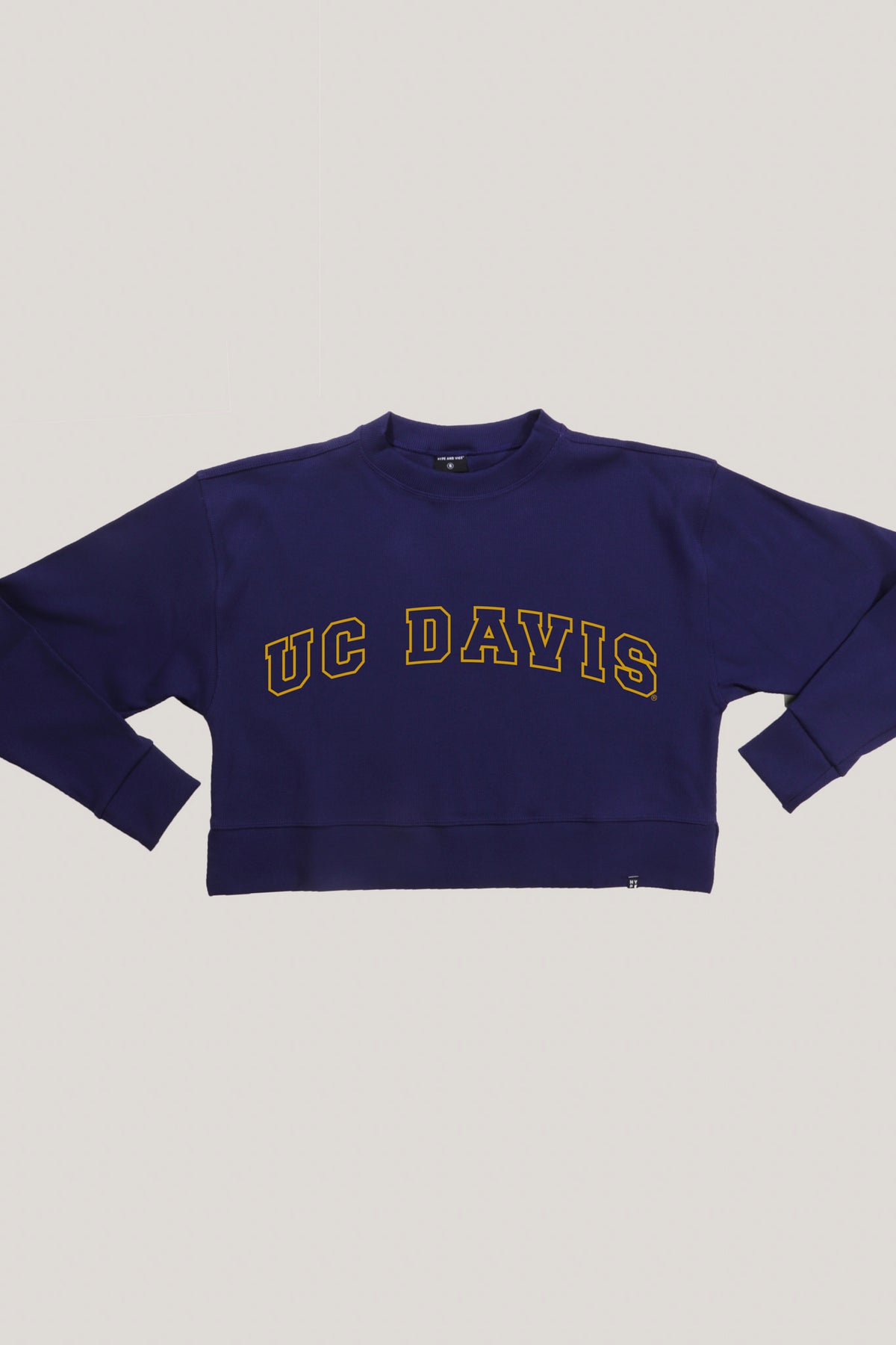 UC Davis Homecoming Crew