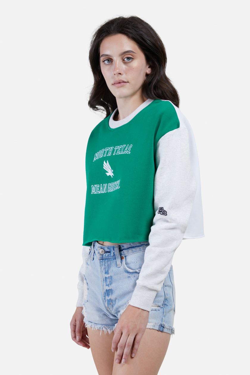 UNT Rookie Sweater