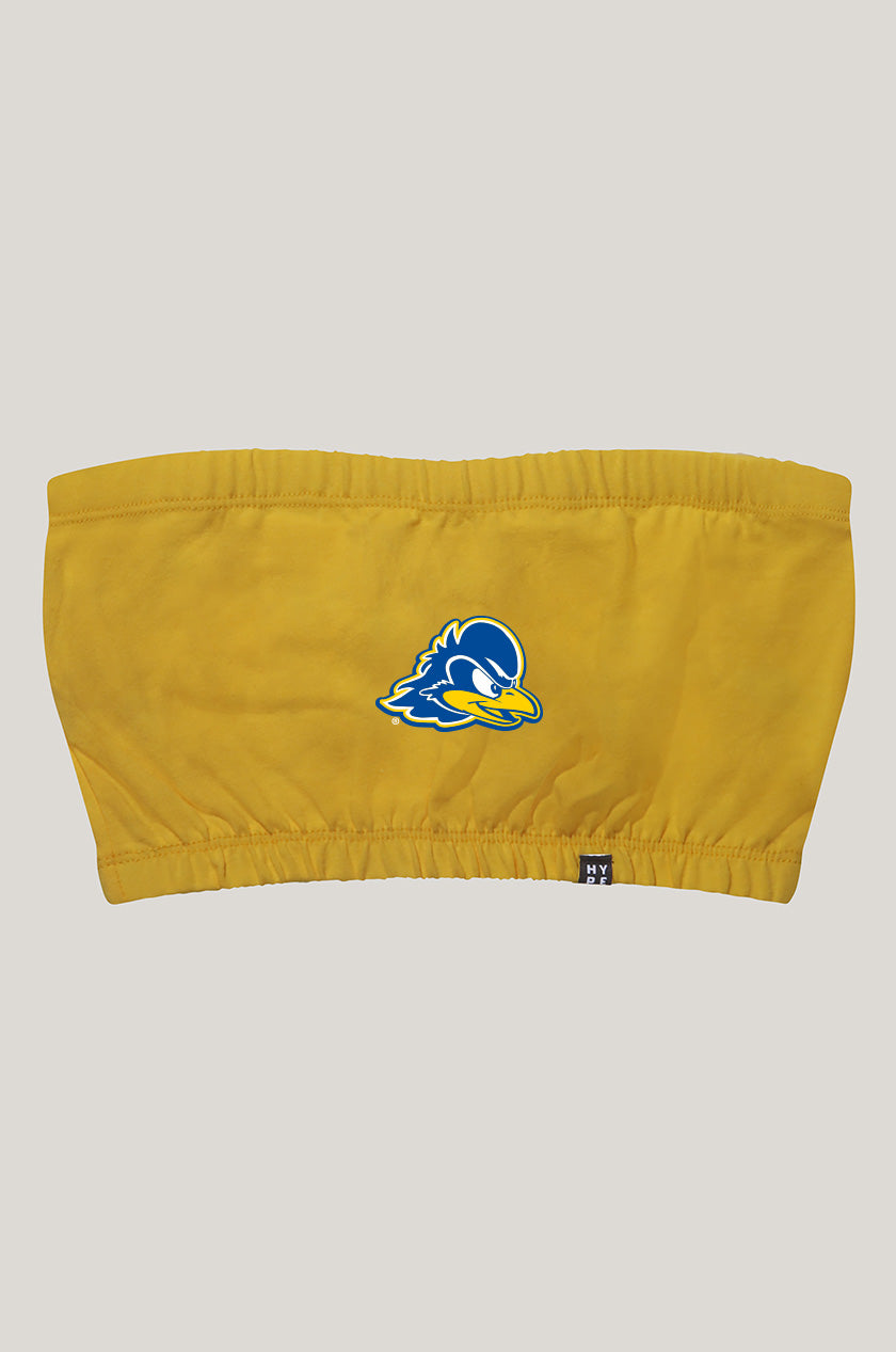 Delaware Bandeau Top
