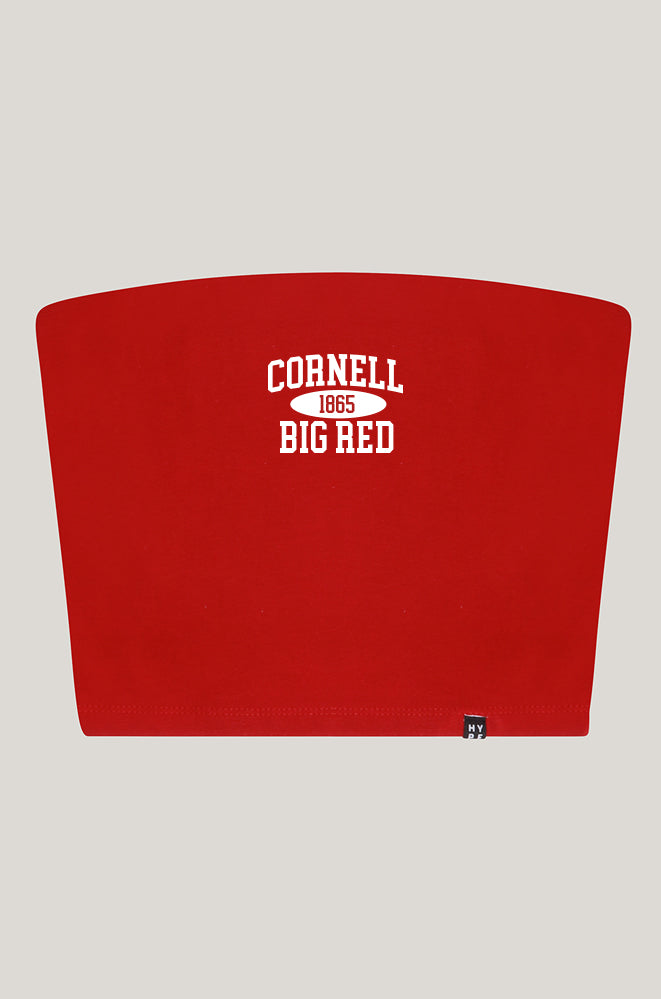 Cornell Tube Top