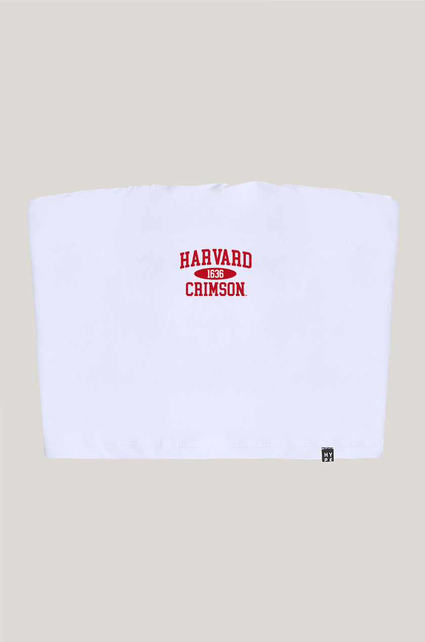 Harvard Tube Top