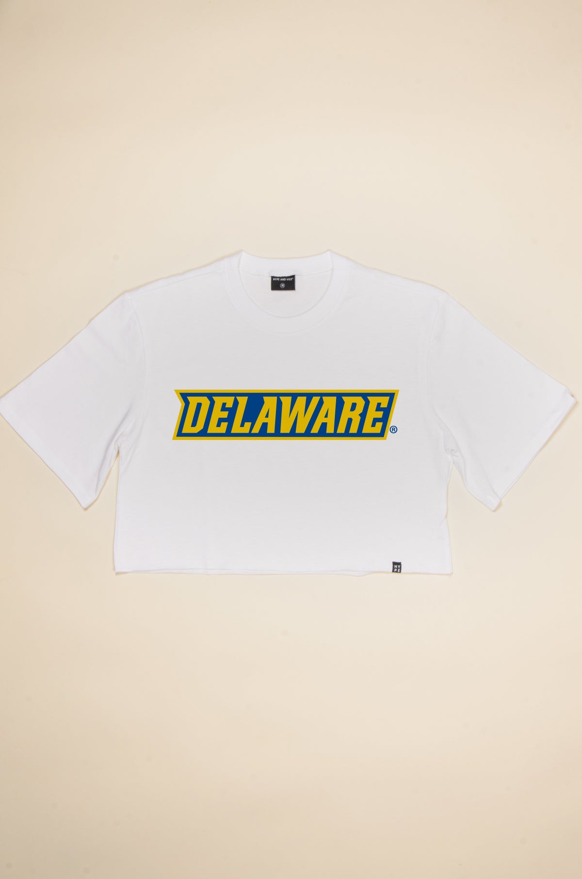 Delaware Touchdown Tee