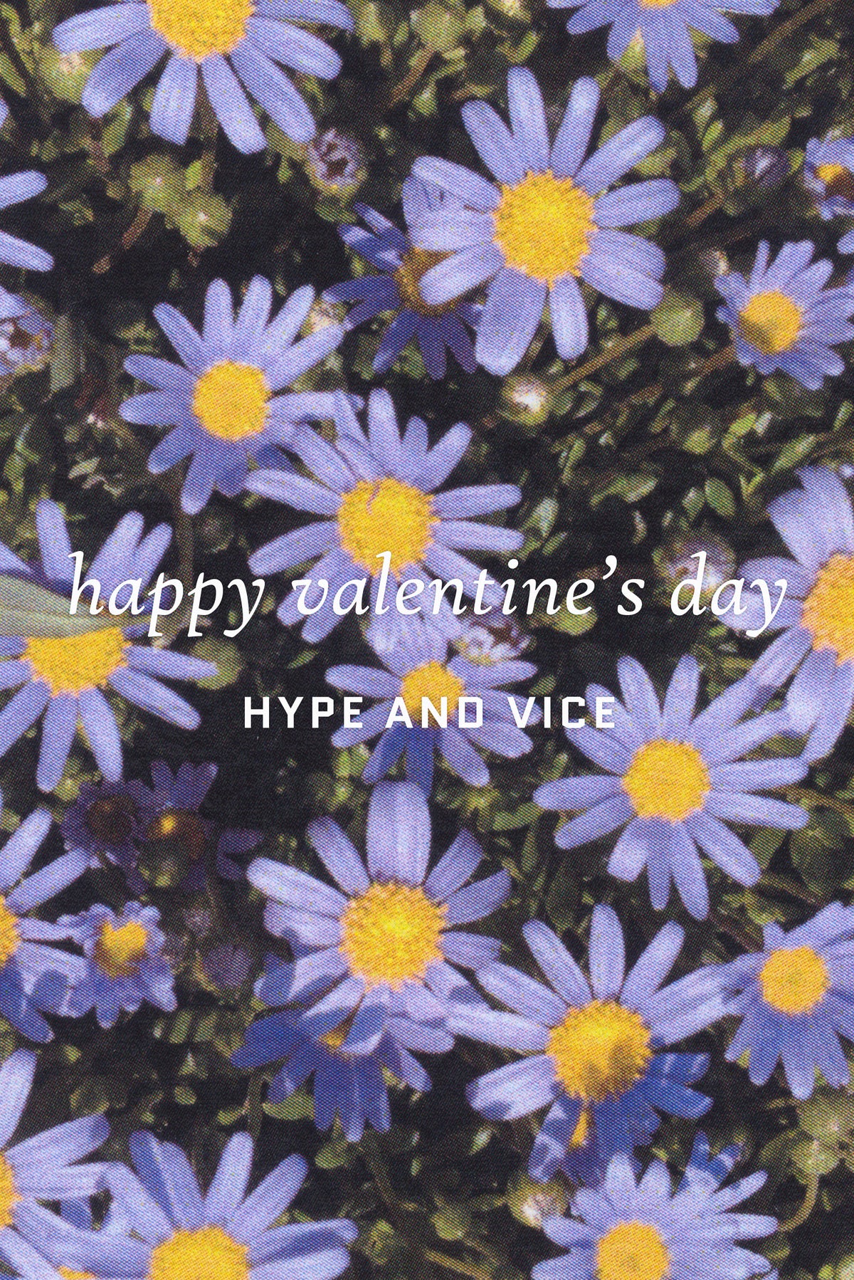 Happy Valentine's Day