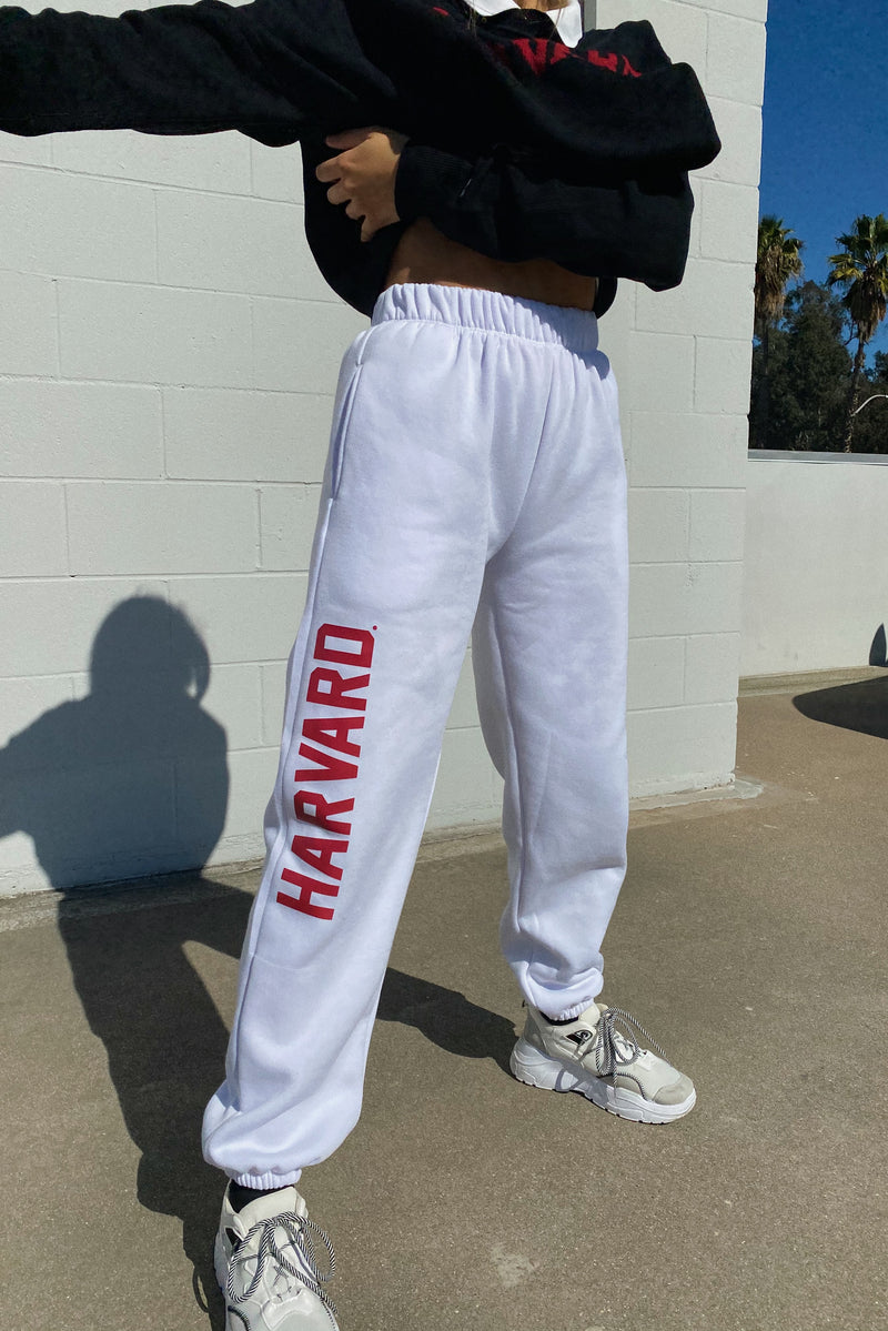 Harvard Men Black Straight Fit Solid Track pants – Wholesale Price App