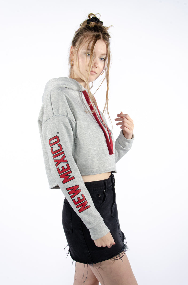 UNM | Cute College Cropped Hoodie | Hype & Vice Apparel Small / Grey | Hype and Vice